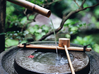 中高年、シニア、熟年のお酒飲み友達が探せるサイト!